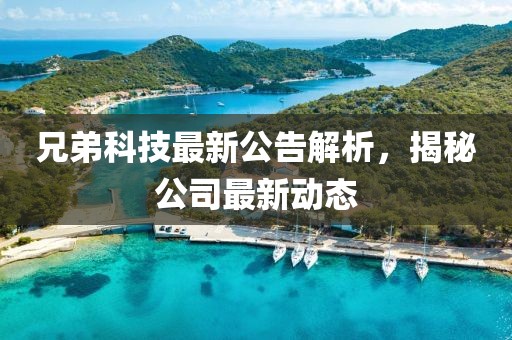 兄弟科技最新公告解析，揭秘公司最新動態(tài)