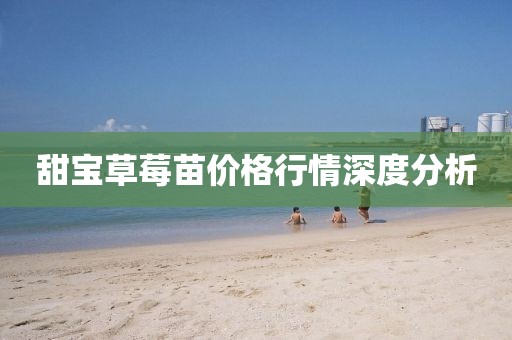 甜寶草莓苗價(jià)格行情深度分析