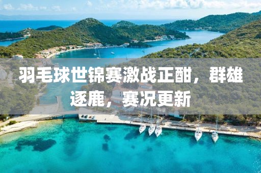 羽毛球世錦賽激戰(zhàn)正酣，群雄逐鹿，賽況更新