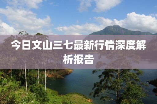 今日文山三七最新行情深度解析報告