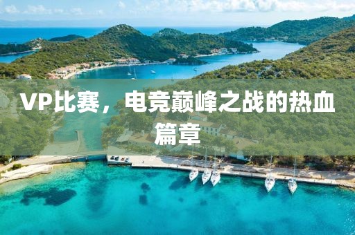 VP比賽，電競巔峰之戰(zhàn)的熱血篇章