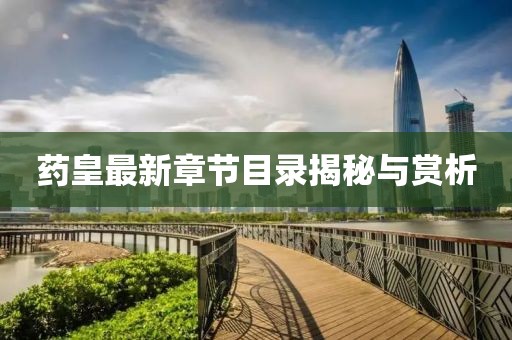 藥皇最新章節(jié)目錄揭秘與賞析
