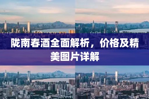隴南春酒全面解析，價(jià)格及精美圖片詳解