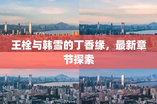 王栓與韓雪的丁香緣，最新章節(jié)探索