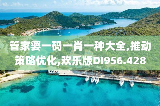 管家婆一碼一肖一種大全,推動(dòng)策略優(yōu)化,歡樂(lè)版DI956.428