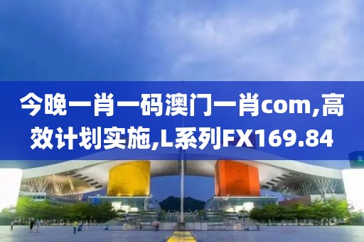 今晚一肖一碼澳門一肖com,高效計劃實施,L系列FX169.84