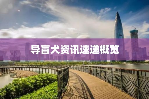 導(dǎo)盲犬資訊速遞概覽