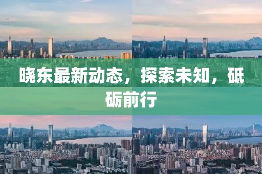 曉東最新動(dòng)態(tài)，探索未知，砥礪前行