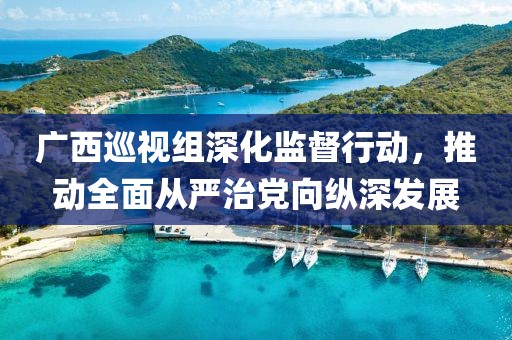 廣西巡視組深化監(jiān)督行動(dòng)，推動(dòng)全面從嚴(yán)治黨向縱深發(fā)展