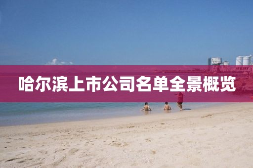 哈爾濱上市公司名單全景概覽