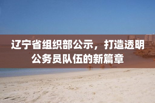 遼寧省組織部公示，打造透明公務(wù)員隊(duì)伍的新篇章