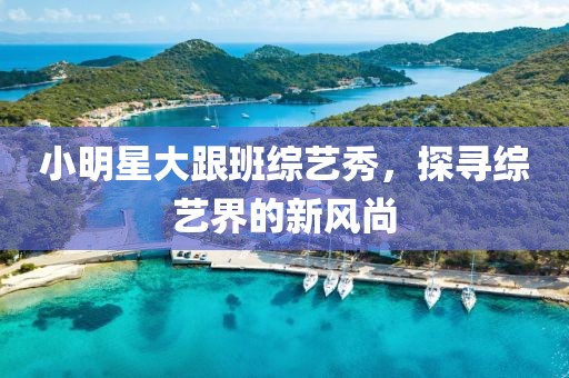 小明星大跟班綜藝秀，探尋綜藝界的新風(fēng)尚