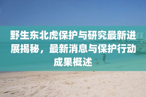 野生東北虎保護與研究最新進展揭秘，最新消息與保護行動成果概述