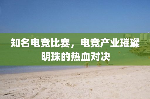 知名電競比賽，電競產(chǎn)業(yè)璀璨明珠的熱血對決