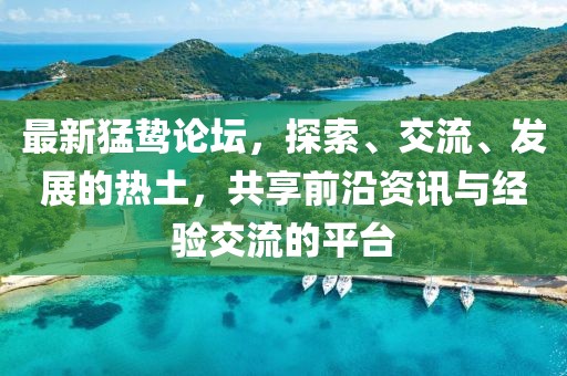 最新猛鷙論壇，探索、交流、發(fā)展的熱土，共享前沿資訊與經(jīng)驗(yàn)交流的平臺(tái)