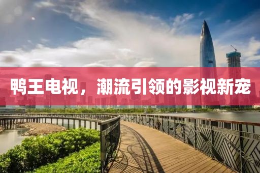 鴨王電視，潮流引領(lǐng)的影視新寵