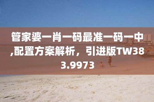 管家婆一肖一碼最準(zhǔn)一碼一中,配置方案解析，引進(jìn)版TW383.9973