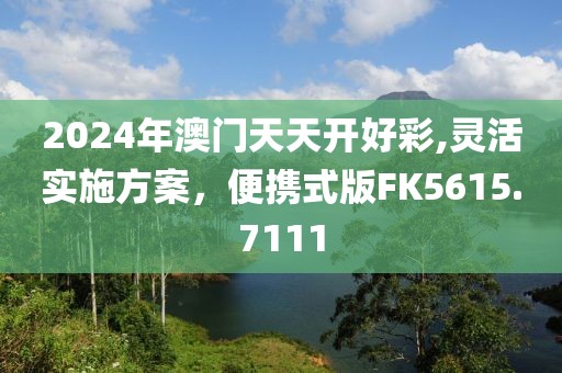 2024年澳門(mén)天天開(kāi)好彩,靈活實(shí)施方案，便攜式版FK5615.7111
