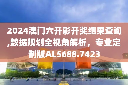 2024澳門六開彩開獎(jiǎng)結(jié)果查詢,數(shù)據(jù)規(guī)劃全視角解析，專業(yè)定制版AL5688.7423