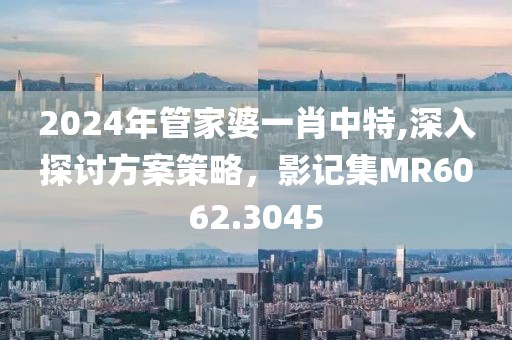 2024年管家婆一肖中特,深入探討方案策略，影記集MR6062.3045