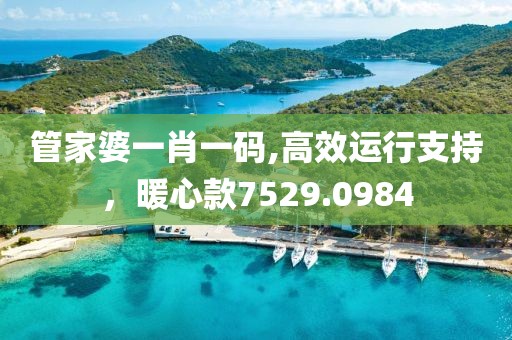 管家婆一肖一碼,高效運(yùn)行支持，暖心款7529.0984