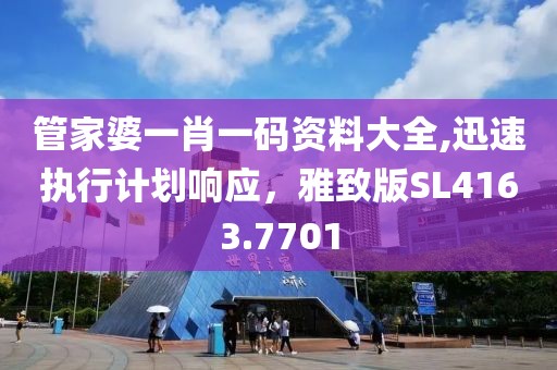 管家婆一肖一碼資料大全,迅速執(zhí)行計劃響應(yīng)，雅致版SL4163.7701