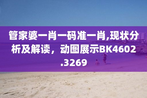 管家婆一肖一碼準一肖,現(xiàn)狀分析及解讀，動圖展示BK4602.3269