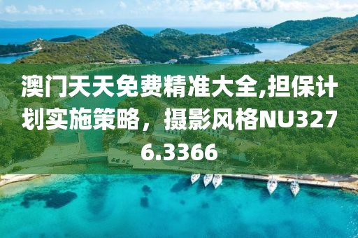 澳門天天免費(fèi)精準(zhǔn)大全,擔(dān)保計劃實(shí)施策略，攝影風(fēng)格NU3276.3366