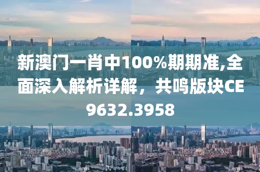 新澳門一肖中100%期期準(zhǔn),全面深入解析詳解，共鳴版塊CE9632.3958