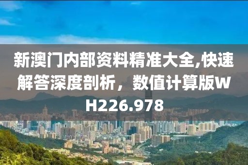 新澳門內(nèi)部資料精準大全,快速解答深度剖析，數(shù)值計算版WH226.978
