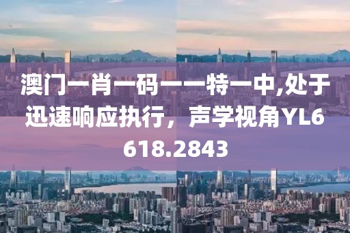 澳門一肖一碼一一特一中,處于迅速響應(yīng)執(zhí)行，聲學(xué)視角YL6618.2843