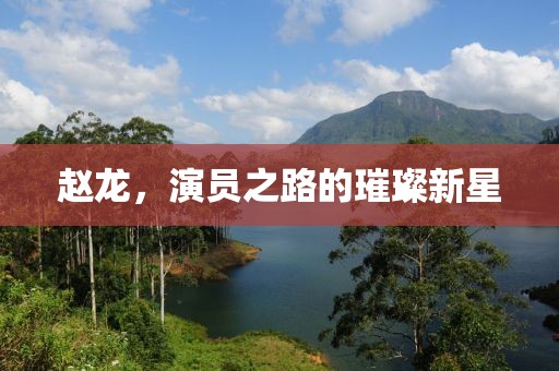 趙龍，演員之路的璀璨新星