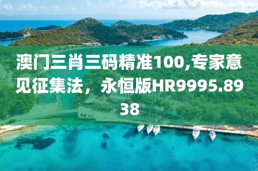 澳門三肖三碼精準100,專家意見征集法，永恒版HR9995.8938