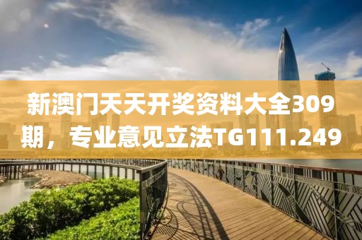 新澳門天天開(kāi)獎(jiǎng)資料大全309期，專業(yè)意見(jiàn)立法TG111.249