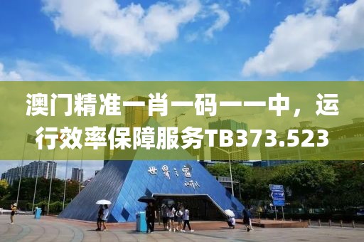 澳門精準(zhǔn)一肖一碼一一中，運行效率保障服務(wù)TB373.523