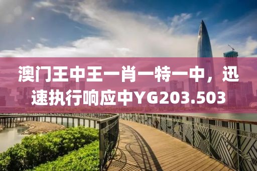 澳門王中王一肖一特一中，迅速執(zhí)行響應(yīng)中YG203.503