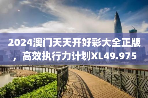 2024澳門天天開好彩大全正版，高效執(zhí)行力計劃XL49.975