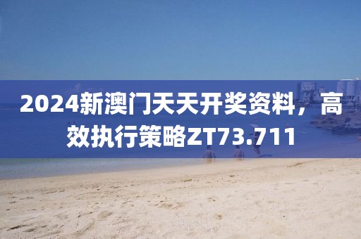 2024新澳門天天開獎資料，高效執(zhí)行策略ZT73.711