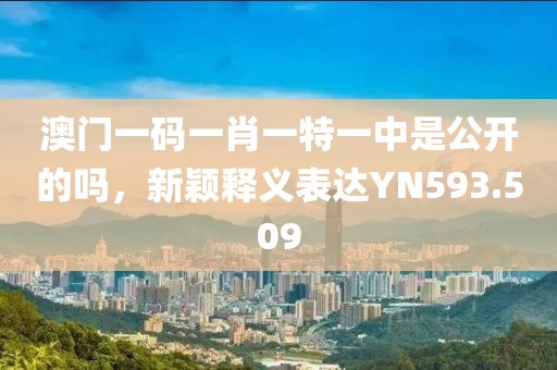 澳門(mén)一碼一肖一特一中是公開(kāi)的嗎，新穎釋義表達(dá)YN593.509