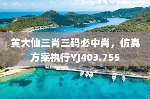 黃大仙三肖三碼必中肖，仿真方案執(zhí)行YJ403.755