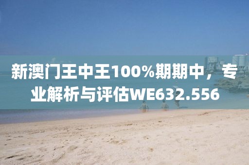 新澳門王中王100%期期中，專業(yè)解析與評估WE632.556
