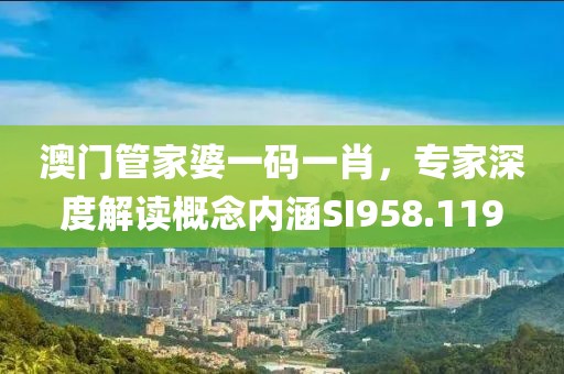 澳門管家婆一碼一肖，專家深度解讀概念內(nèi)涵SI958.119