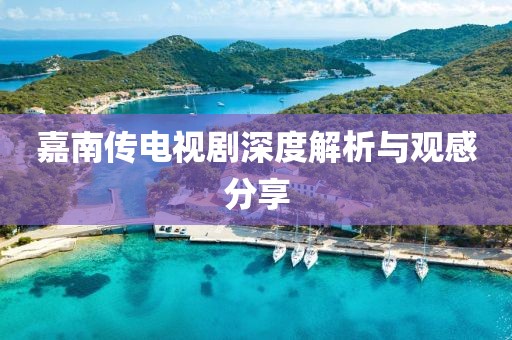 嘉南傳電視劇深度解析與觀感分享