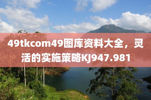 49tkcom49圖庫資料大全，靈活的實施策略KJ947.981