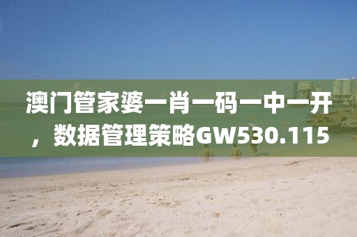 澳門管家婆一肖一碼一中一開，數(shù)據(jù)管理策略GW530.115