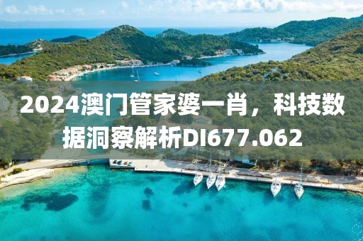 2024澳門管家婆一肖，科技數(shù)據(jù)洞察解析DI677.062