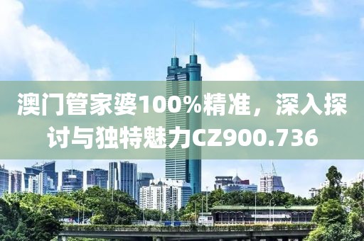 澳門管家婆100%精準(zhǔn)，深入探討與獨(dú)特魅力CZ900.736