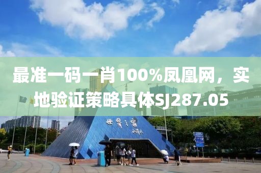 最準一碼一肖100%鳳凰網(wǎng)，實地驗證策略具體SJ287.05