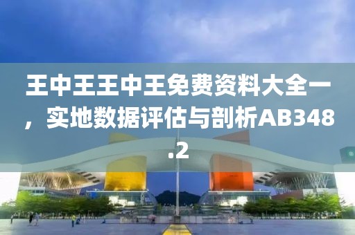 王中王王中王免費(fèi)資料大全一，實(shí)地?cái)?shù)據(jù)評(píng)估與剖析AB348.2