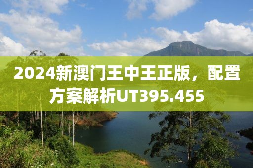 2024新澳門(mén)王中王正版，配置方案解析UT395.455
